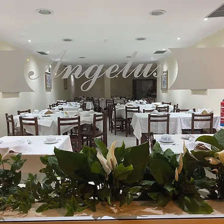 Angelus Guest house Fatima